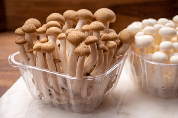 Shimeji edible mushrooms native to East Asia, buna-shimeji is widely cultivated and rich in umami tasting compounds