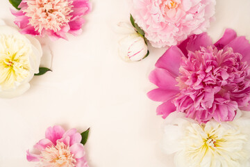 Beautiful fresh peony flat lay with copy space