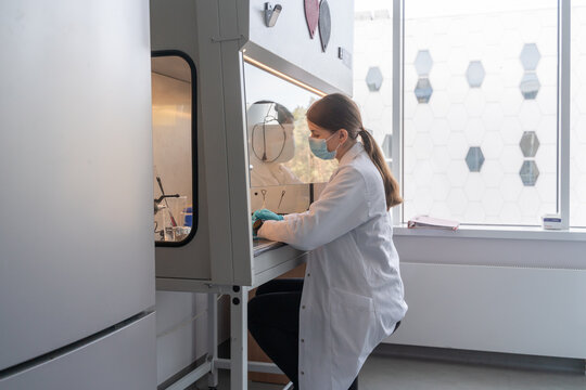 Microbiologist Working In A Chamber