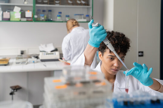 People Working In Laboratory