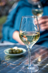 Drinking of dry white wine on open terrace in spring garden