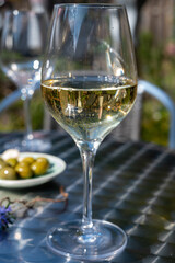 Drinking of dry white wine on open terrace in spring garden