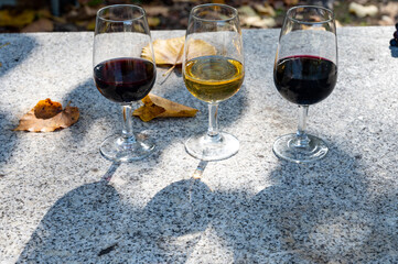 Tasting of Portuguese fortified port wine, produced in Douro Valley in autumn, Portugal