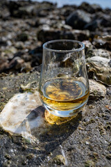 Tasting of single malt or blended Scotch whisky and seabed at low tide with algae, stones and oysters on background, private whisky tours in Scotland, UK