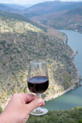 Hand with glass of fortified port wine, produced in Douro Valley and Douro river with colorful terraced vineyards on background in autumn, Portugal