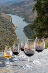 Tasting of Portuguese fortified port wine and dry red wine, produced in Douro Valley with Douro river and colorful terraced vineyards on background in autumn, Portugal