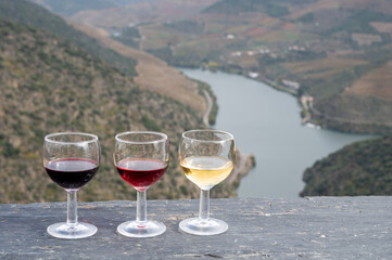 Tasting of Portuguese fortified port wine, produced in Douro Valley with Douro river and colorful terraced vineyards on background in autumn, Portugal