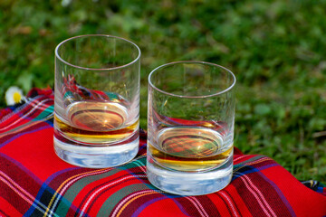 Glasses of Scotch single malt or blended whisky on red tartan on green grass with many white daisy flowers