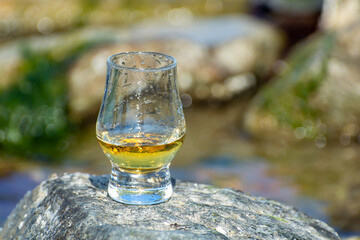 Tasting of single malt or blended Scotch whisky and blue sea with stones and oysters on background, private whisky tours in Scotland, UK