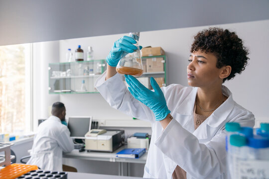 Two Scientist Colleagues Working In Laboratory