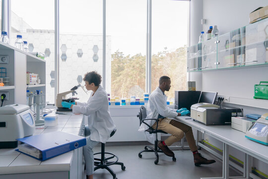 Man And Woman Working In Laboratory