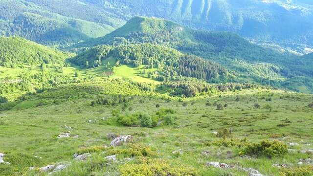 Steep slope and coniferous forest on mountain Trebevic, Sarajevo, Bosnia and Herzegovina
