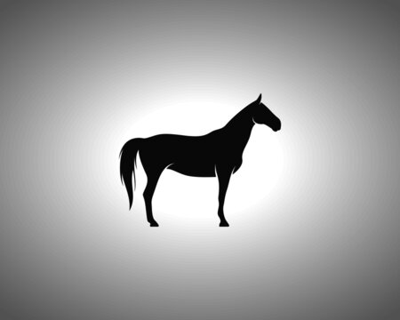 Horse Silhouette. Isolated Vector Animal Template for Logo Company, Icon, Symbol etc