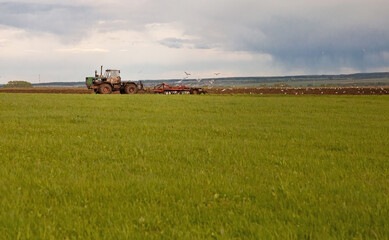 The tractor works in a green field in cloudy weather.