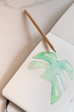 Monstera leaf painted in watercolor