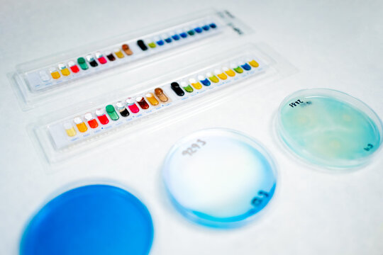 Science Research In A Lab