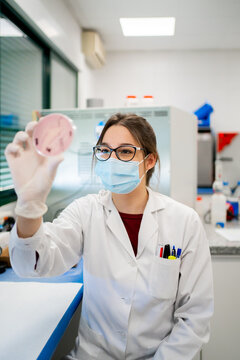 Science Research In A Lab