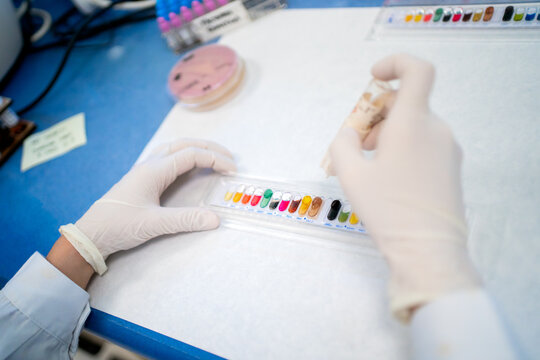 Science Research In A Lab