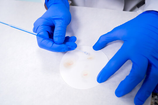 Science Research In A Lab
