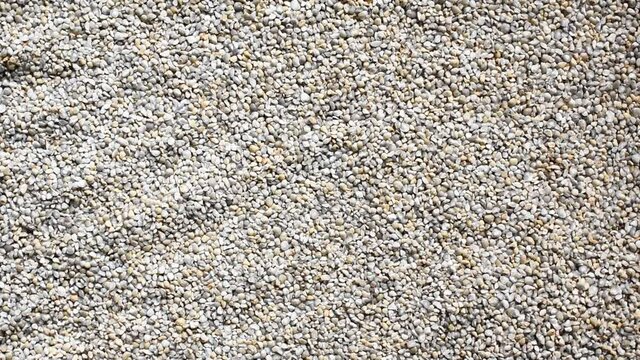 Raw broken dried Pearl millet