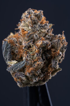 Cannabis Flower Macro - Strain: Cereal Milk