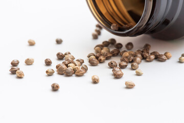 cannabis seeds on white background, close up of hemp seeds for planting agriculture herbal medicine, marijuana seed