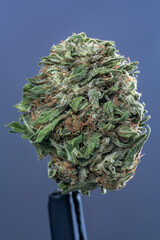 Cannabis Flower Macro - Strain: White Widow
