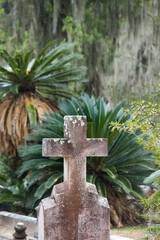 Old Graveyard markers with Spanish Moss