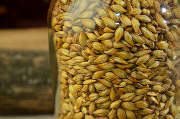 Russian national background seeds in bottle