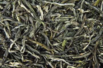 White tea. Closeup of chinese silver needle hair down white tea of premium luxury quality. Texture background macro photo. Bai Hao Yinzhen tea.