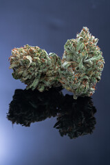 Cannabis Flower Macro - Strain: Clementine BC