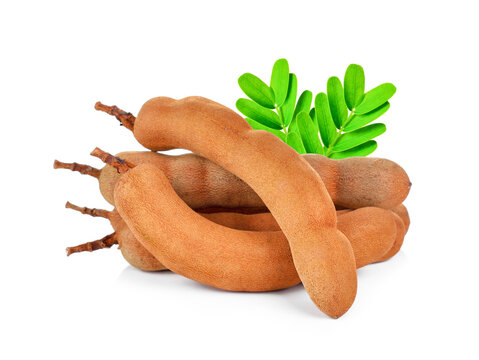 fresh tamarind fruits and leaves isolated on white