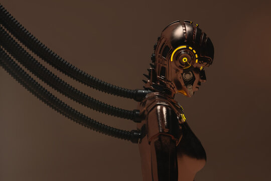 Portrait of a connected robot