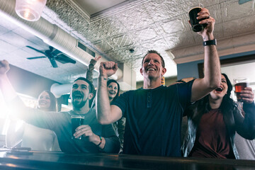 Brewery: Crowd Cheers While Watching Sports At Bar