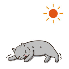 体調不良の猫と太陽　熱中症