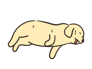 体調不良の大型犬