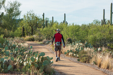 A person hiking at Saguaro National Park, with scenic views of saguaro cacti, Arizona, USA.
