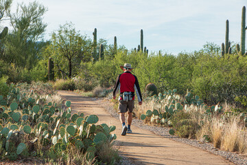 A person hiking at Saguaro National Park, with scenic views of saguaro cacti, Arizona, USA. © CaptureNature