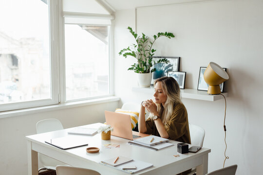 Woman Looking Thoughtfully In Her Laptop 