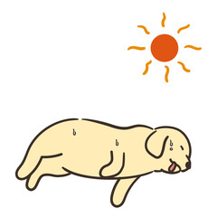 体調不良の犬と太陽　熱中症
