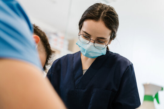 Team of veterinarian operating on an animal