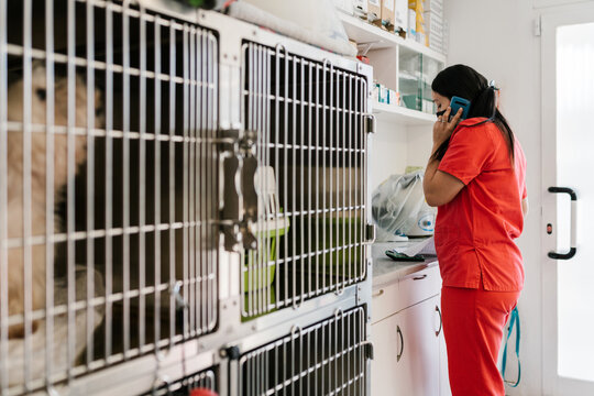 Veterinarian calling next to the cages with animals.