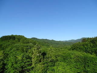 Fototapeta na wymiar 新緑の山景・秋田市太平山