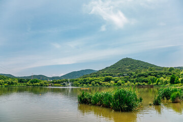 Fototapeta na wymiar Summer lake at Incheon Grand Park in Korea