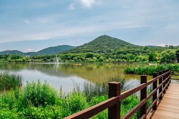 Summer lake at Incheon Grand Park in Korea