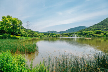 Fototapeta premium Summer lake at Incheon Grand Park in Korea