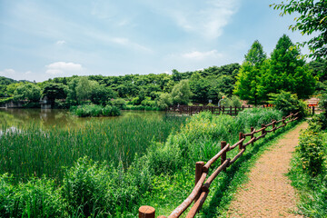 Lake and forest trail at Incheon Grand Park in Korea