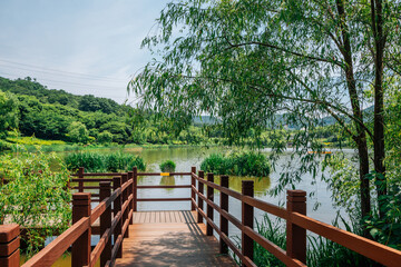 Fototapeta premium Lake and forest trail at Incheon Grand Park in Korea