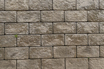 Brick texture with gray coloring.