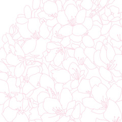 Cherry blossom line drawing illustration.